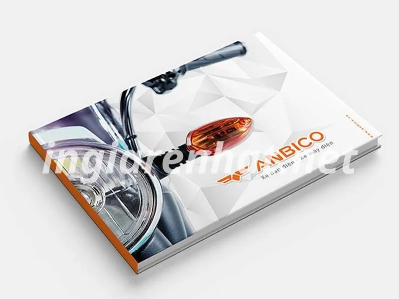 in catalogue bìa cứng