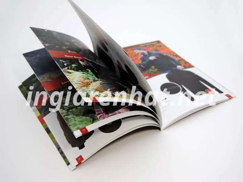 in catalogue bìa cứng